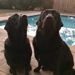 Meet your Posher, Janet